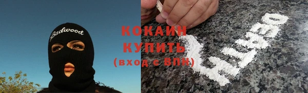 ГАЛЛЮЦИНОГЕННЫЕ ГРИБЫ Алексин