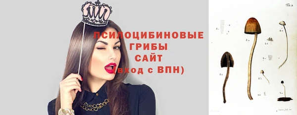 ГАЛЛЮЦИНОГЕННЫЕ ГРИБЫ Алексин