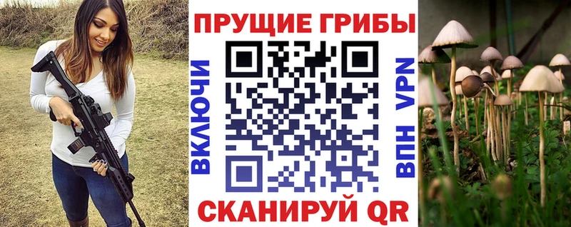 Галлюциногенные грибы GOLDEN TEACHER наркота Краснообск